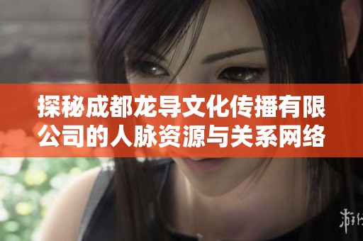 探秘成都龙导文化传播有限公司的人脉资源与关系网络
