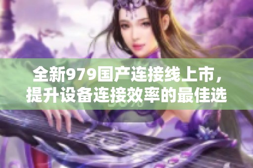 全新979国产连接线上市，提升设备连接效率的最佳选择