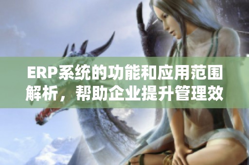 ERP系统的功能和应用范围解析，帮助企业提升管理效率