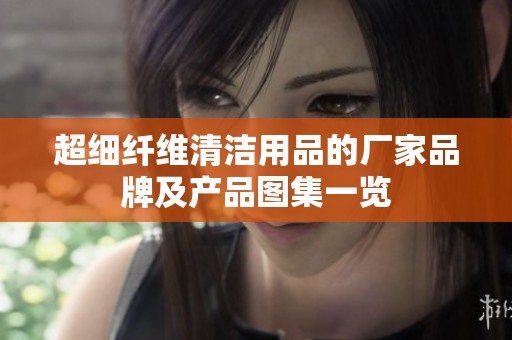 超细纤维清洁用品的厂家品牌及产品图集一览