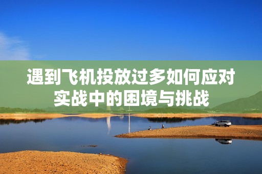 遇到飞机投放过多如何应对实战中的困境与挑战