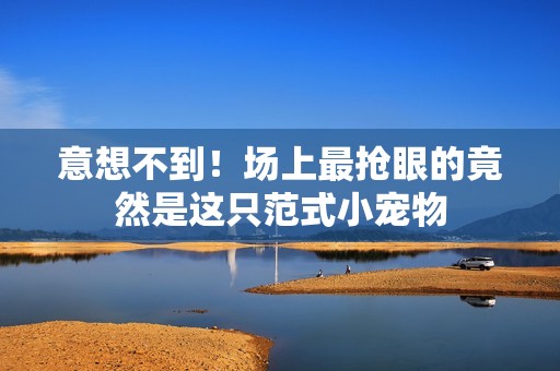 意想不到！场上最抢眼的竟然是这只范式小宠物