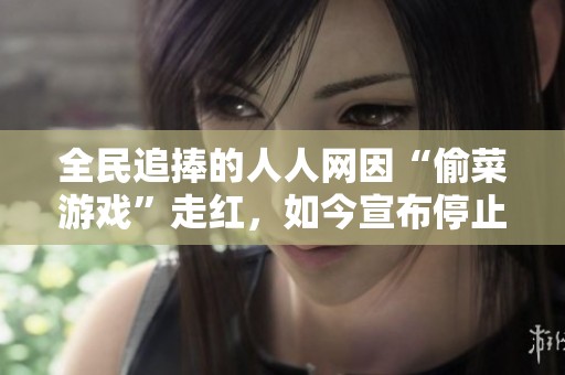 全民追捧的人人网因“偷菜游戏”走红，如今宣布停止服务