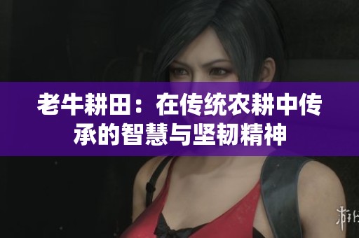 老牛耕田：在传统农耕中传承的智慧与坚韧精神
