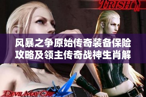 风暴之争原始传奇装备保险攻略及领主传奇战神生肖解析