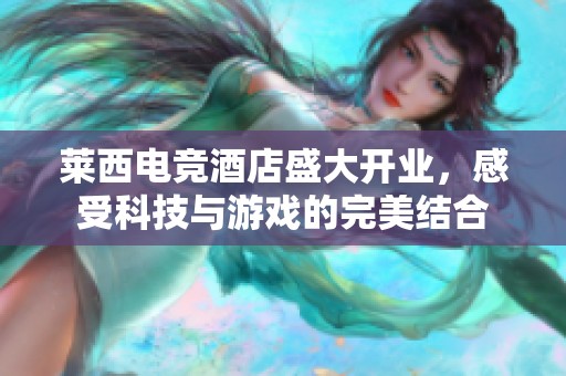 莱西电竞酒店盛大开业，感受科技与游戏的完美结合